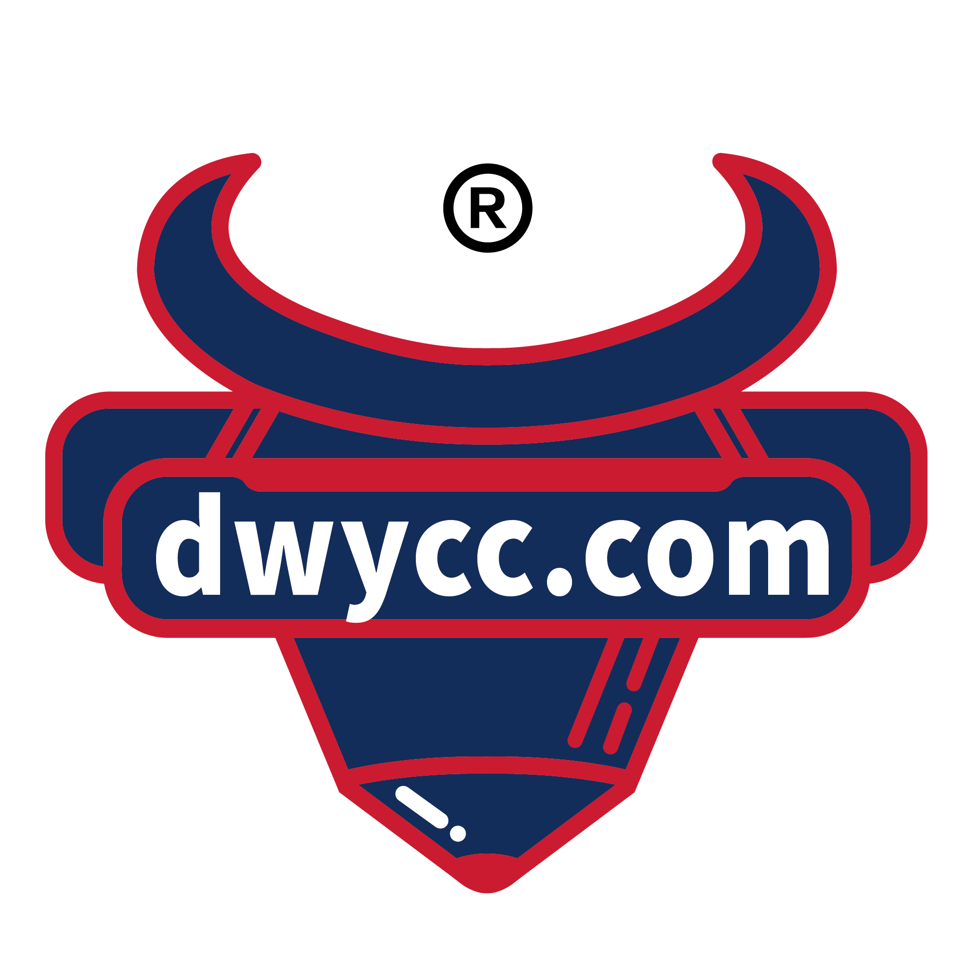 大王云存储 Logo